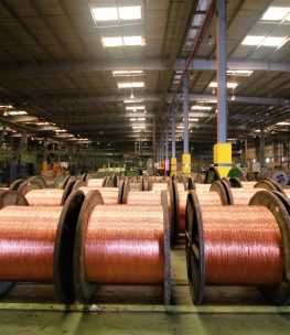 SPECIALITY CABLES